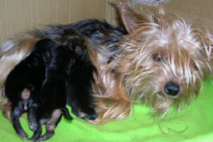 dscn0731.jpg